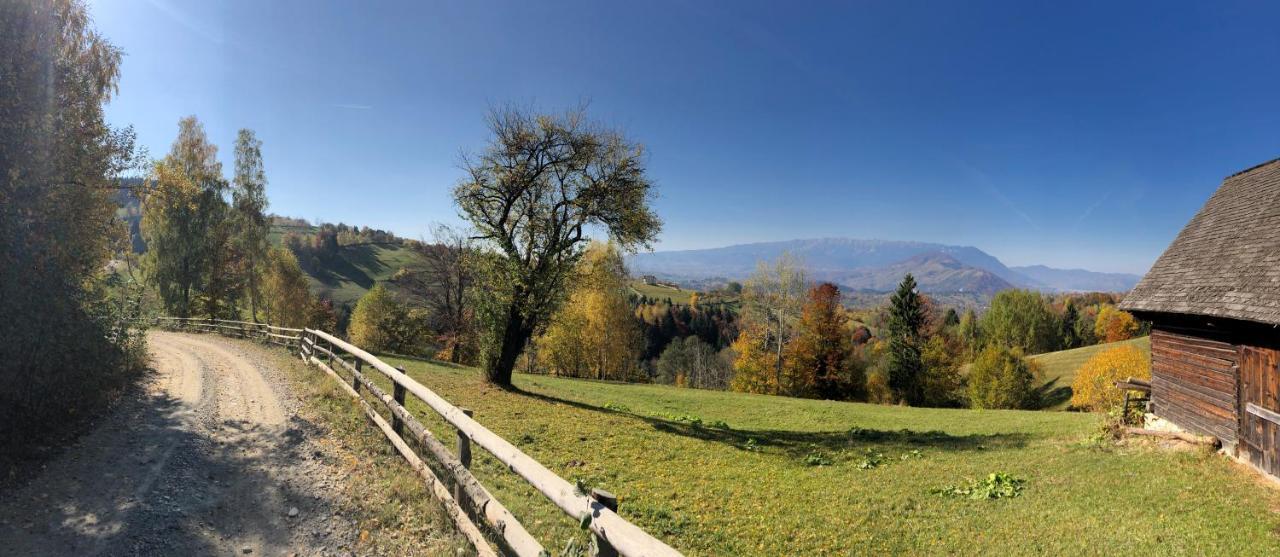 The Old Town Nest Apartment Brasov Bagian luar foto
